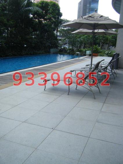 Novena Suites (D11), Apartment #73447872